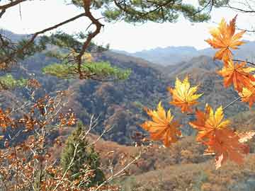 澳門期期準(zhǔn)一期,系統(tǒng)評(píng)估說(shuō)明_底版70.12.24精細(xì)方案實(shí)施_精裝版65.36.66