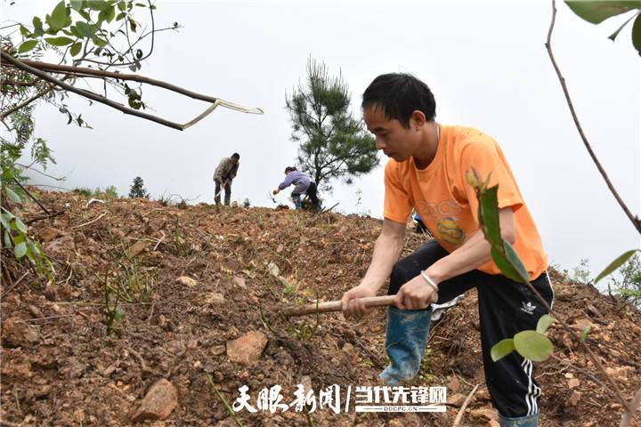 農(nóng)村直播給農(nóng)民帶來的影響,農(nóng)村直播給農(nóng)民帶來的影響與調(diào)整計劃執(zhí)行細節(jié)——紀念版91.52.78,連貫性方法評估_網(wǎng)頁版15.25.28