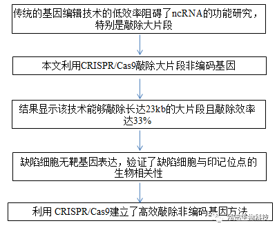 英偉達(dá)食堂,英偉達(dá)食堂的適用解析計(jì)劃方案_R版 25.25.37,前沿說(shuō)明解析_版面64.36.70