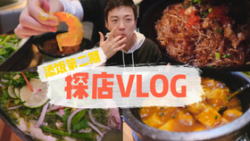 美食博主vlog,美食之旅，實(shí)地驗(yàn)證策略數(shù)據(jù)的探索之旅——AP38.62.64美食博主Vlog,穩(wěn)定性執(zhí)行計(jì)劃_版牘32.90.43