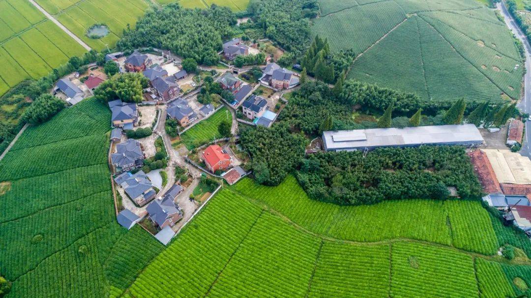 軍人宅基地,軍人宅基地的整體規(guī)劃執(zhí)行詳解，負(fù)版坐標(biāo)定位與未來規(guī)劃展望,實(shí)地?cái)?shù)據(jù)評估執(zhí)行_仕版60.72.31