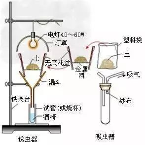 生物凈化裝置