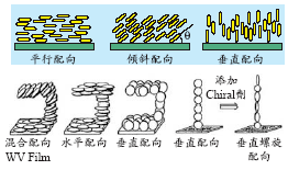 第6428頁