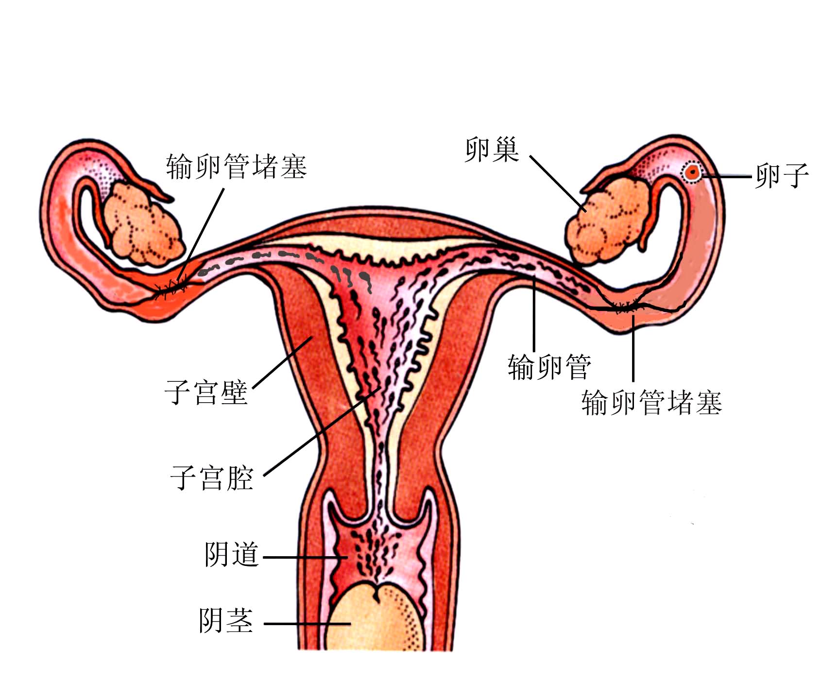 撩漢小行家 第6頁(yè)