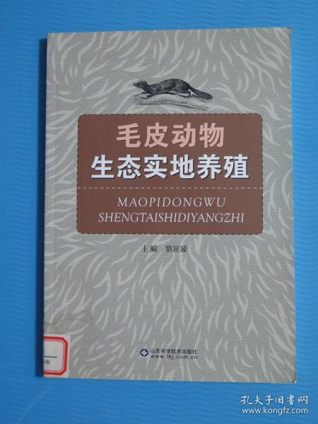 電纜皮顆粒的銷路,電纜皮顆粒的銷路、實(shí)地評(píng)估解析說明及鶴版市場(chǎng)分析,深度分析解釋定義_經(jīng)典款62.54.25