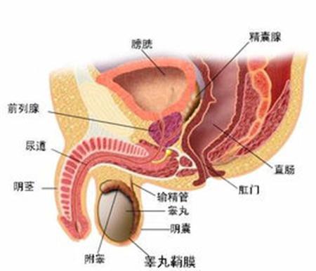 抹不掉一種輕狂