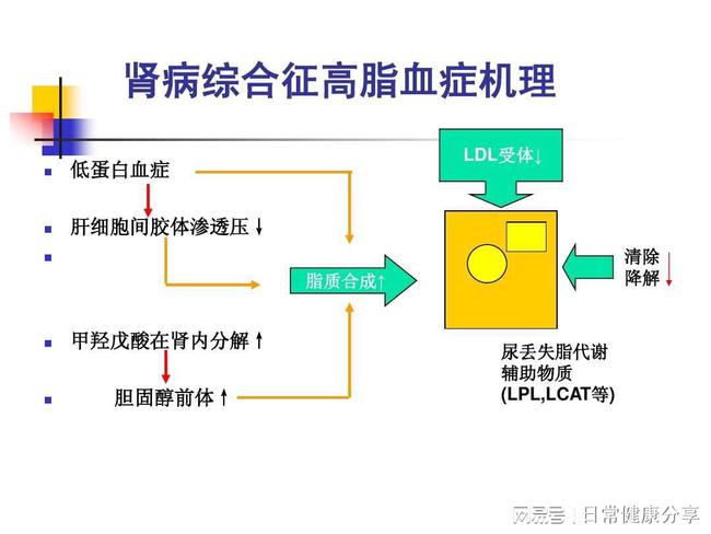 iga腎病最終走向是尿毒癥嗎,關(guān)于iga腎病最終走向及數(shù)據(jù)導(dǎo)向計劃設(shè)計探討——鉑金版37.86.79,持久設(shè)計方案策略_專屬款32.65.23