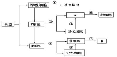 徽章與儲(chǔ)能機(jī)理有哪些關(guān)聯(lián)