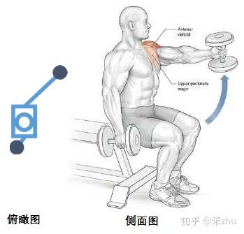 鍛煉肱二頭肌的動(dòng)作啞鈴