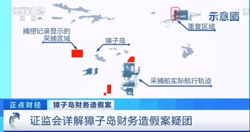 山東情侶跳河,山東情侶跳河事件，精確數(shù)據(jù)解析與深入說明,科技術(shù)語評估說明_版心74.61.12