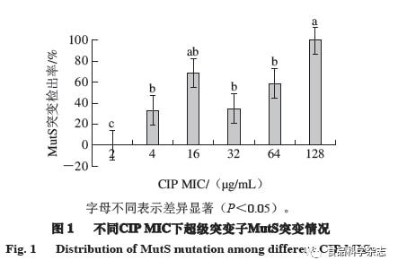 光源與增稠劑的原理是什么