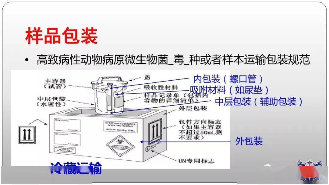 豬肉凈化器