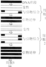 pcr擴(kuò)增儀有哪些種類