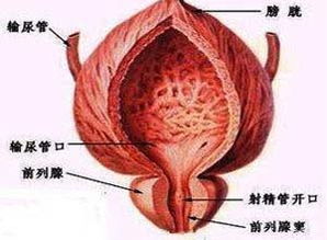 前列腺炎的專(zhuān)科醫(yī)院哪家好