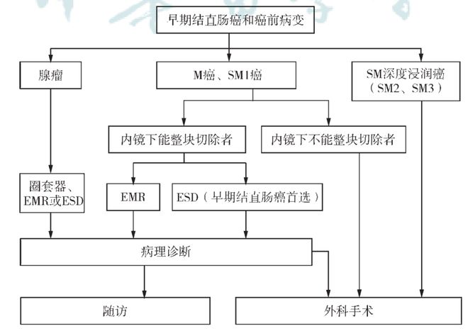 愛(ài)麗舍電路