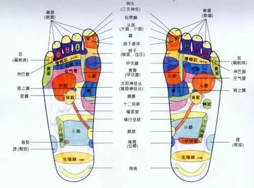 沐足技師怎么培訓