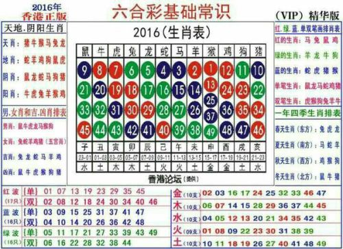 2024十二生肖49碼表,揭秘十二生肖與數(shù)字密碼，專業(yè)解析評估與解讀2024年生肖運勢之49碼表,安全解析策略_S11.58.76