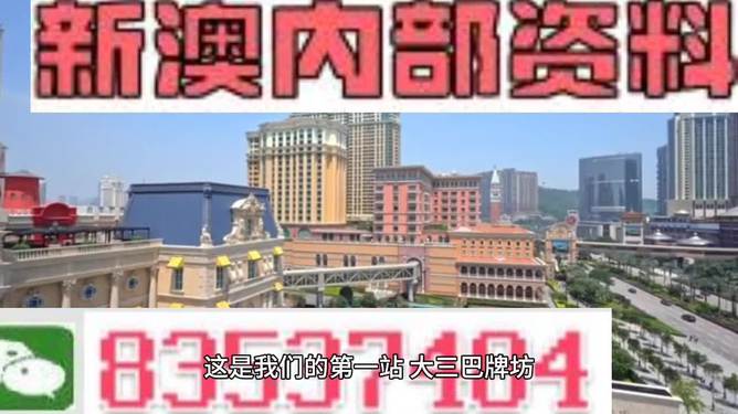 2024澳門精準(zhǔn)正版資料大全,探索未來之門，澳門精準(zhǔn)正版資料大全的全面應(yīng)用分析數(shù)據(jù)（The37.83.49）,安全解析策略_S11.58.76