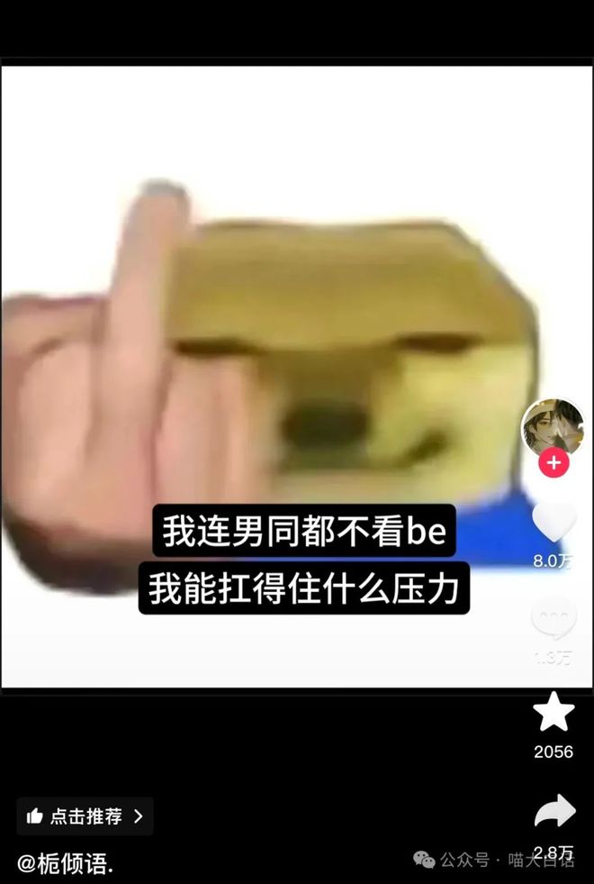 丁克的李健抱著他絕育的貓