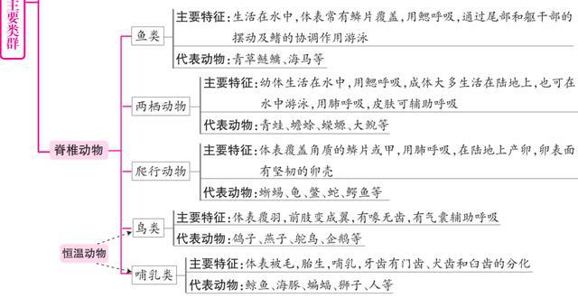 澳彩2025正版資料大全完整版,最新正品解答定義_pack19.59.67