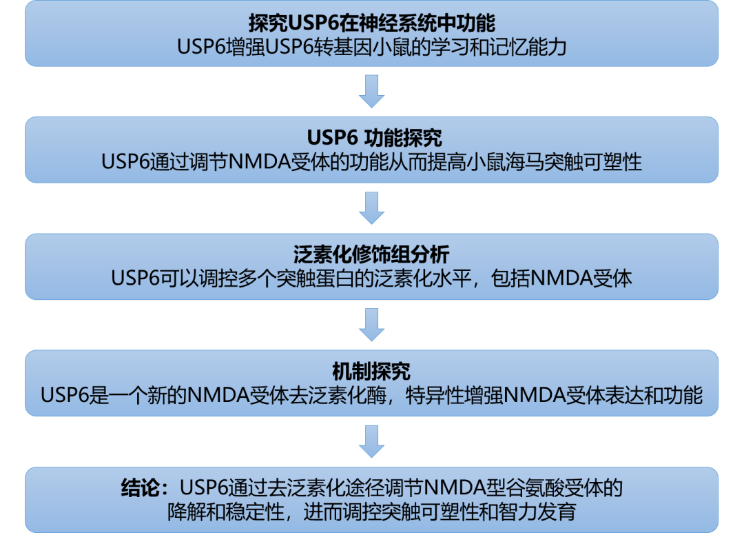 新澳彩正版資料大全實(shí)效性策略解讀_粉絲版24.56.27