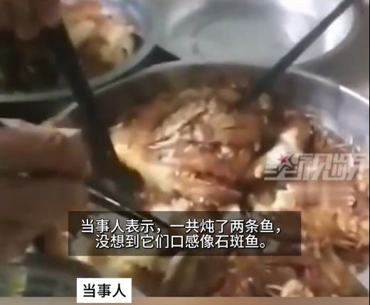 財(cái)神魚死亡 男子起鍋燒油含淚吃下精細(xì)化說明解析_1080p95.37.13