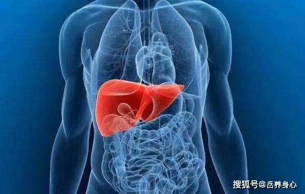 很多人不知道腎臟很怕這6種食物數(shù)據(jù)整合方案設(shè)計_36080.42.33