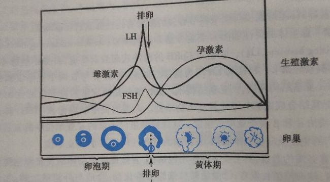 2025年2月4日 第131頁