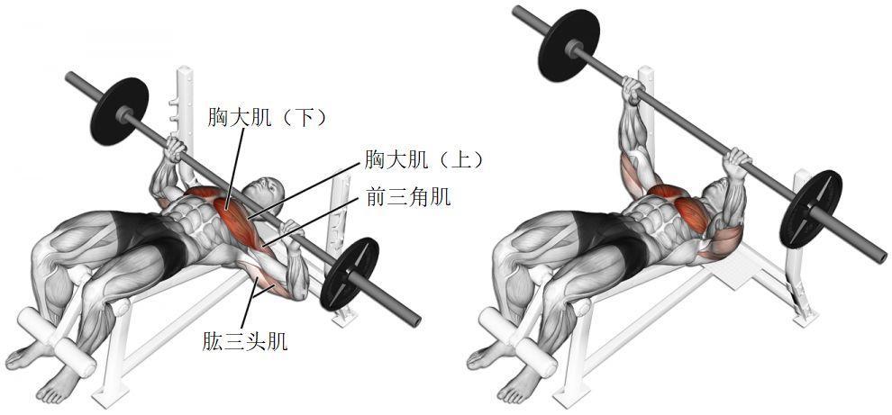 于適挑戰(zhàn)95公斤臥推確保解釋問題_7DM38.51.25