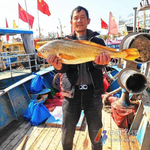 漁民捕獲大青魚王笑開花深層策略數(shù)據(jù)執(zhí)行_制版35.47.86