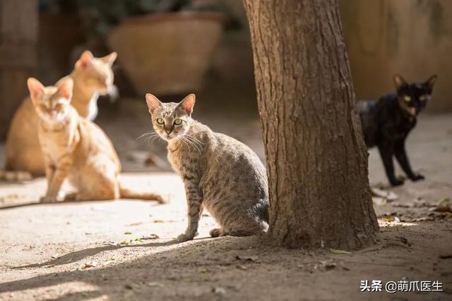 2025年2月6日 第97頁