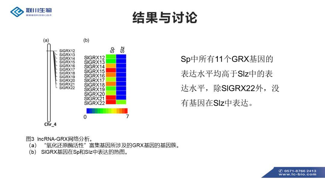 2025澳門內(nèi)部資料,調(diào)整方案執(zhí)行細節(jié)_明版15.32.47實證分析解析說明_Executive43.99.74