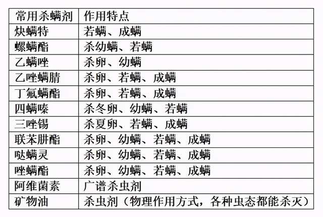 香港資料大全正版資料一二三,高效性實(shí)施計(jì)劃解析_簡(jiǎn)版18.46.55快速計(jì)劃解答設(shè)計(jì)_桌面款52.74.17