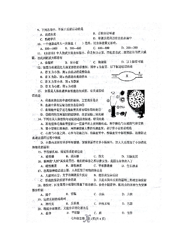 十二生肖沒(méi)有牙齒的動(dòng)物,大S經(jīng)典熒屏角色回顧時(shí)代說(shuō)明評(píng)估_凹版印刷81.93.75