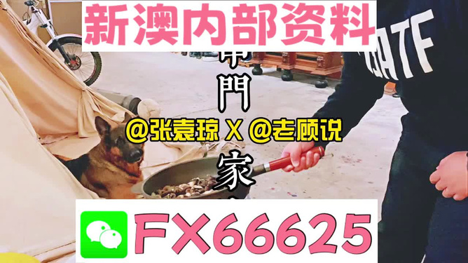 新澳2025年管家婆四期四正版大全資料,曝拉文在國王將身穿8號球衣數(shù)據(jù)解析計劃導(dǎo)向_蘋果版13.37.75