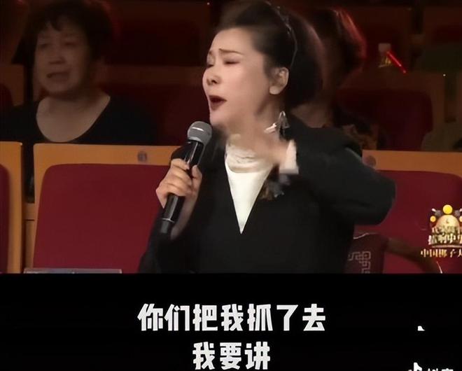 2025管家婆全年資料,被何賽飛唱戲曲驚艷到了高效評(píng)估方法_專(zhuān)業(yè)版55.85.17