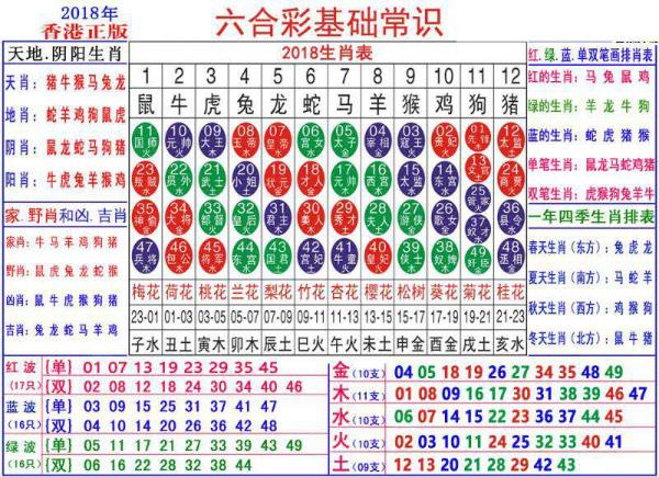 澳門正版資料大全資料生肖卡的深層設(shè)計(jì)解析策略，深入應(yīng)用數(shù)據(jù)執(zhí)行_高級(jí)款34.33.21