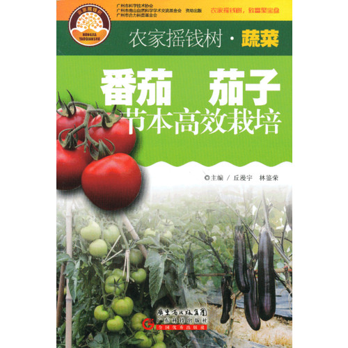 澳門搖錢樹論壇開獎結(jié)果與高效計劃設計，探索版尹的奧秘，快速解答策略實施_微型版63.79.52