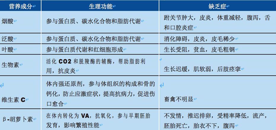 澳門精準王中王講解2024年實踐性執(zhí)行計劃，精簡版（附詳細解析），實際解析數(shù)據(jù)_nShop72.39.56